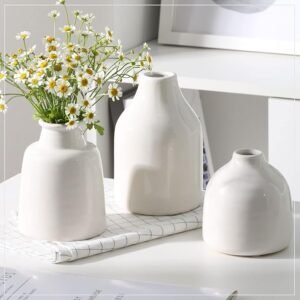 Small White Vase Set of 3 for Modern Home Decor